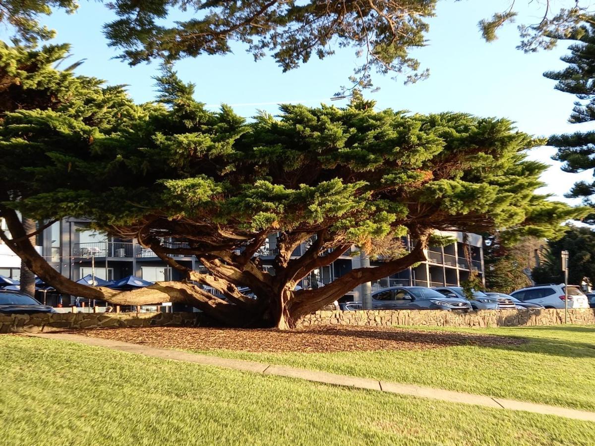 Apartments In Phillip Island Towers - Block C 카우즈 외부 사진