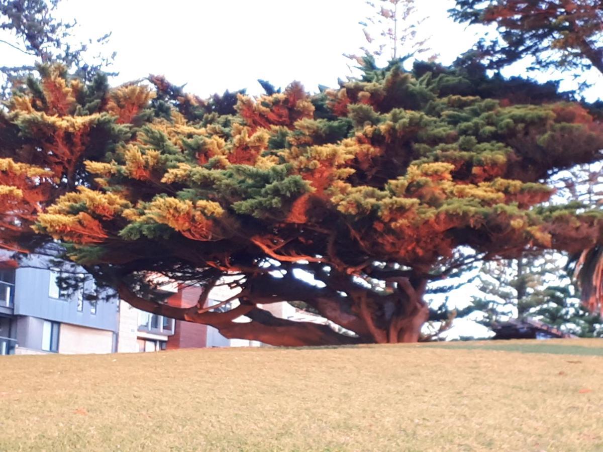 Apartments In Phillip Island Towers - Block C 카우즈 외부 사진
